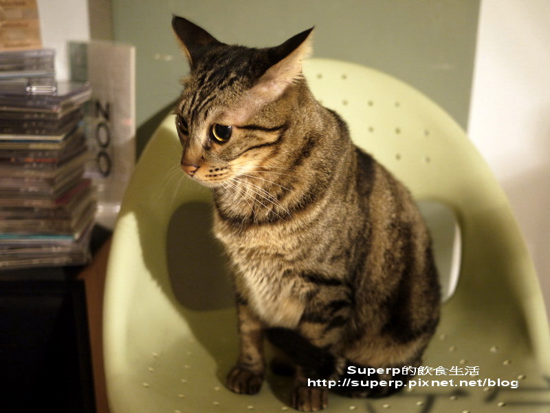 [餐廳食記]台北屋頂上的貓私廚之愜意溫馨晚餐趴
