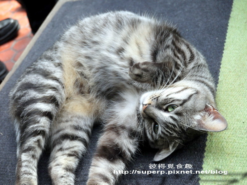 [餐廳食記]三訪屋頂上的貓私廚之愜意午餐趴