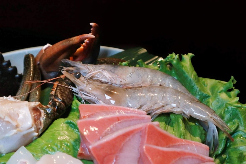 2019-03-23 03.36.47 3-01