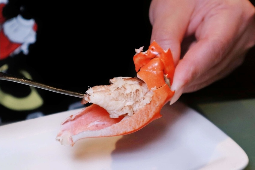 2019-03-23 03.36.36 1-01