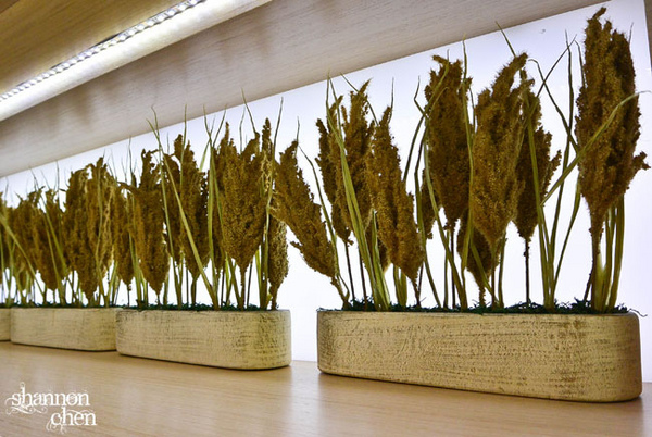 日法坊 La Bonbonnière：*美食*日法坊 La Bonbonniere*蛋糕捲新品試吃體驗，真材實料美味吃的到！