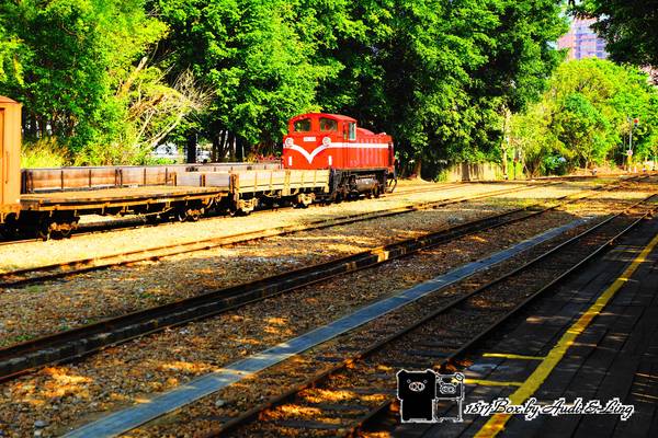 【嘉義。東區】北門車站。阿里山鐵路起點。嘉義市定古蹟