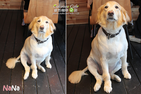 Caloroso Cafe - 歐怡咖啡二館：✪歐怡咖啡二館✪下午茶102/08/03＆午餐102/08/04~偶像劇「親愛的，我愛上別人了」場景拍拍走