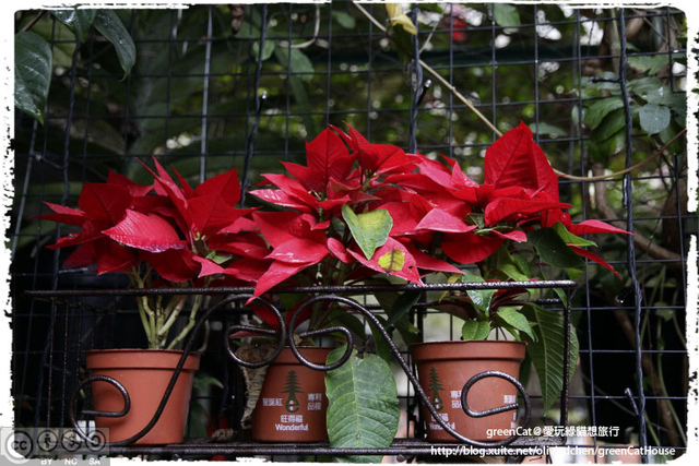 Eat Eat Bistro・小巧可愛的義式餐館