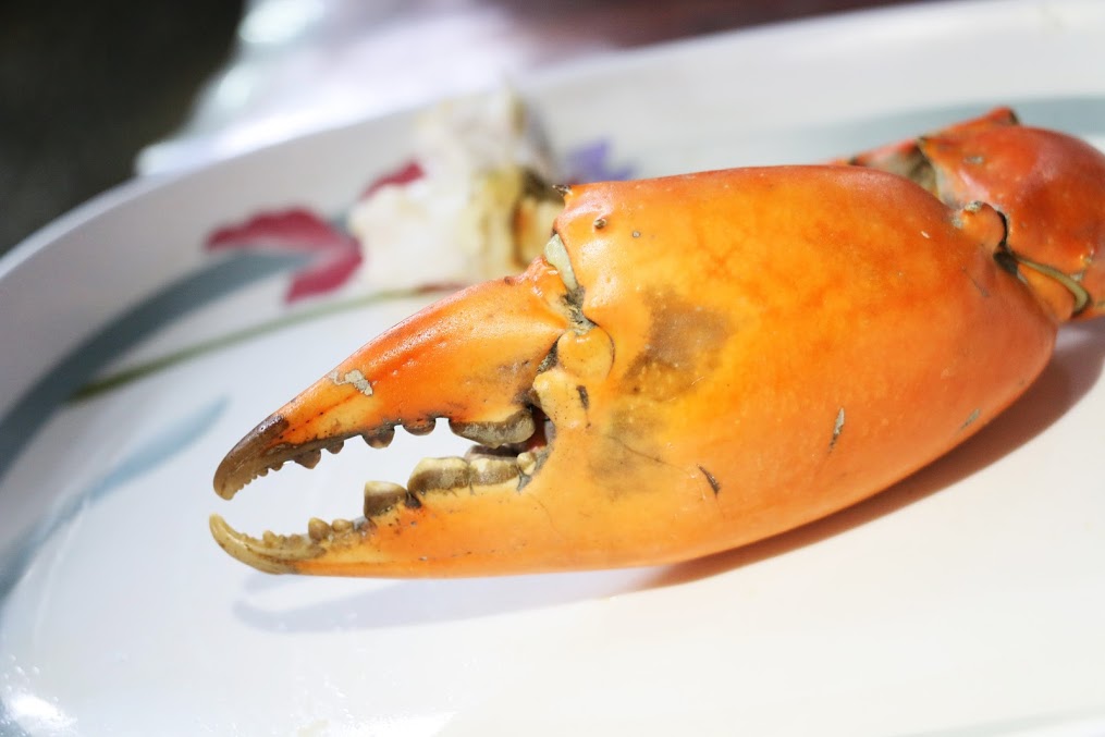 超大的螯～费了好大一番功夫