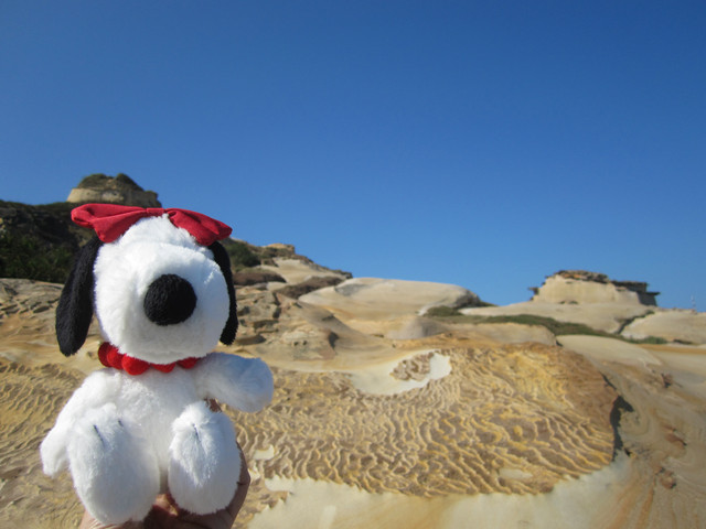 （萬里區）龜吼漁港吃蟹之遇見維納斯海岸線（下）～從龜吼步行到野柳