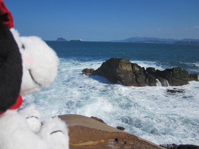 （萬里區）龜吼漁港吃蟹之遇見維納斯海岸線（下）～從龜吼步行到野柳