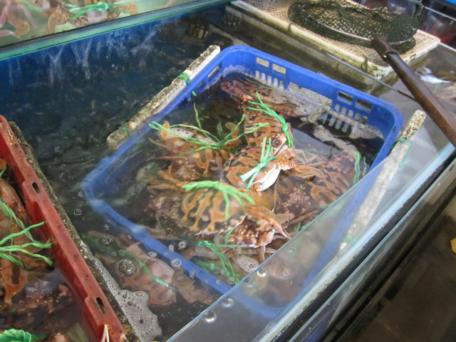 （萬里區）龜吼漁港吃蟹之遇見維納斯海岸線（上）～三明美食