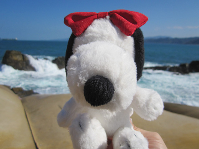 （萬里區）龜吼漁港吃蟹之遇見維納斯海岸線（下）～從龜吼步行到野柳