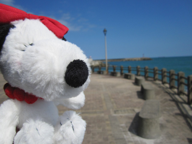 （萬里區）龜吼漁港吃蟹之遇見維納斯海岸線（上）～三明美食