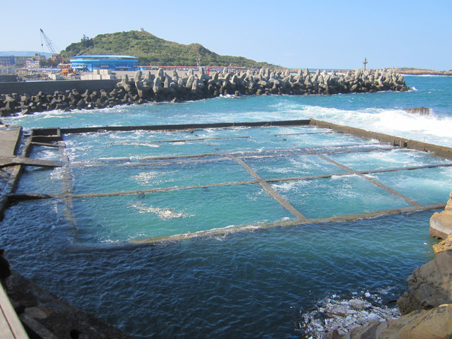 （萬里區）龜吼漁港吃蟹之遇見維納斯海岸線（下）～從龜吼步行到野柳