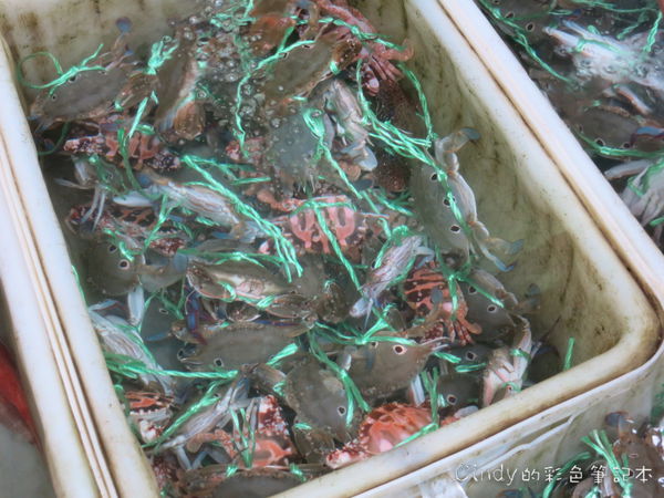 IMG_0737.JPG IMG_0737.JPG