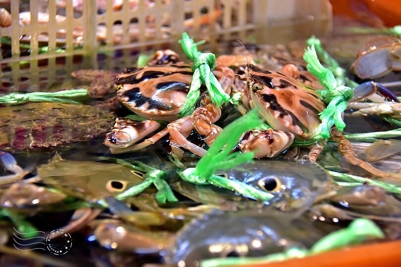 秋蟹季節,新北萬里【龜吼漁港】吃萬里蟹(花蟹、三點蟹)