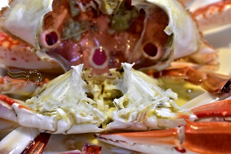 秋蟹季節,新北萬里【龜吼漁港】吃萬里蟹(花蟹、三點蟹)