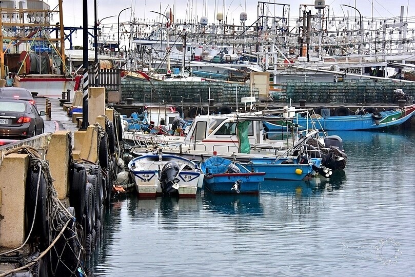 秋蟹季節,新北萬里【龜吼漁港】吃萬里蟹(花蟹、三點蟹)