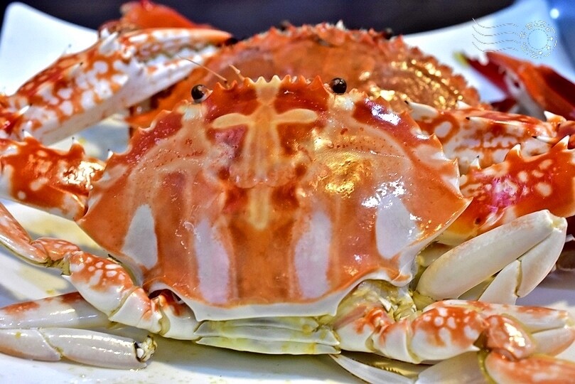 秋蟹季節,新北萬里【龜吼漁港】吃萬里蟹(花蟹、三點蟹)