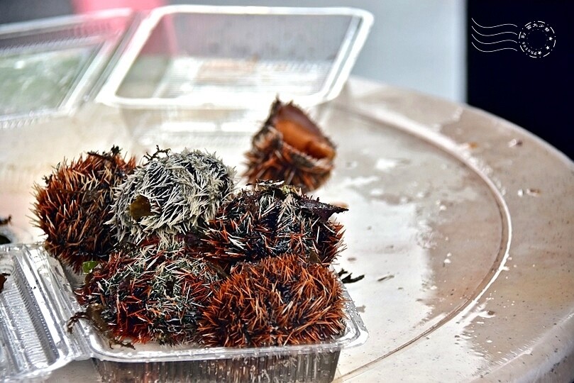 秋蟹季節,新北萬里【龜吼漁港】吃萬里蟹(花蟹、三點蟹)