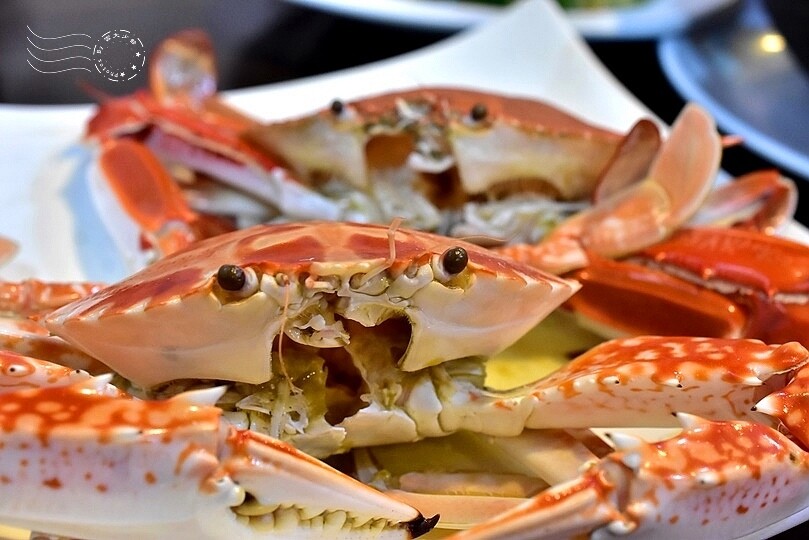秋蟹季節,新北萬里【龜吼漁港】吃萬里蟹(花蟹、三點蟹)