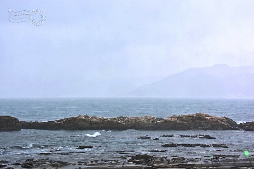 秋蟹季節,新北萬里【龜吼漁港】吃萬里蟹(花蟹、三點蟹)