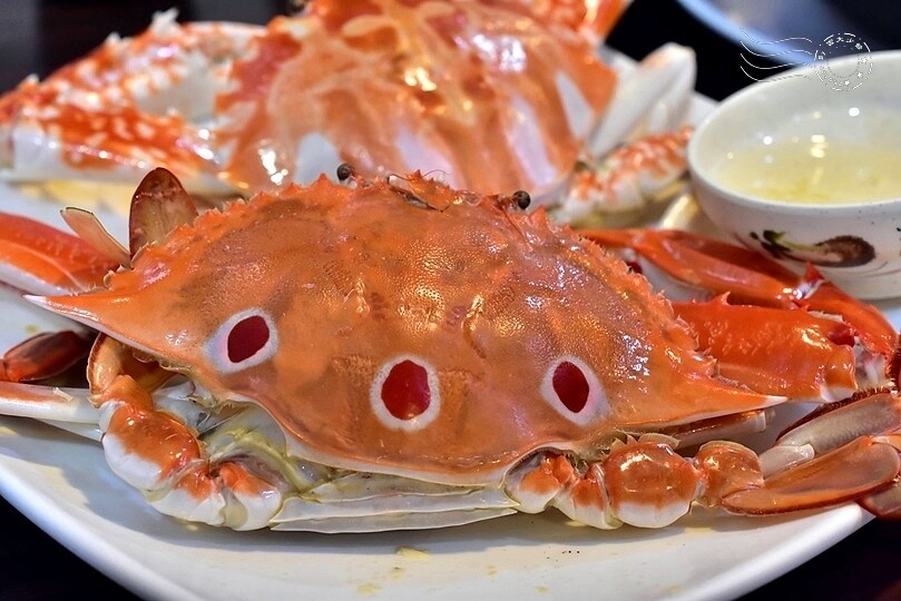 秋蟹季節,新北萬里【龜吼漁港】吃萬里蟹(花蟹、三點蟹)