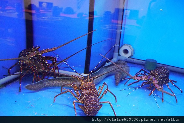 品清涮涮鍋 029 品清涮涮鍋 029