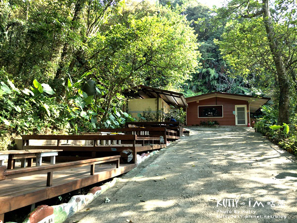 2017-10-29森林鳥花園 (25).jpg