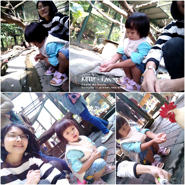 2017-10-29森林鳥花園 (8).jpg