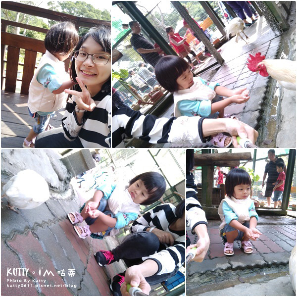 2017-10-29森林鳥花園 (7).jpg