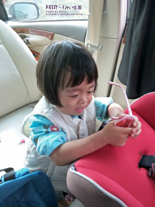 2017-10-29森林鳥花園 (3).jpg