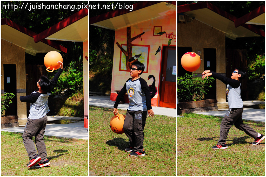 《遊記║新竹新埔》森林鳥花園~戶外親子花園賞鳥趣