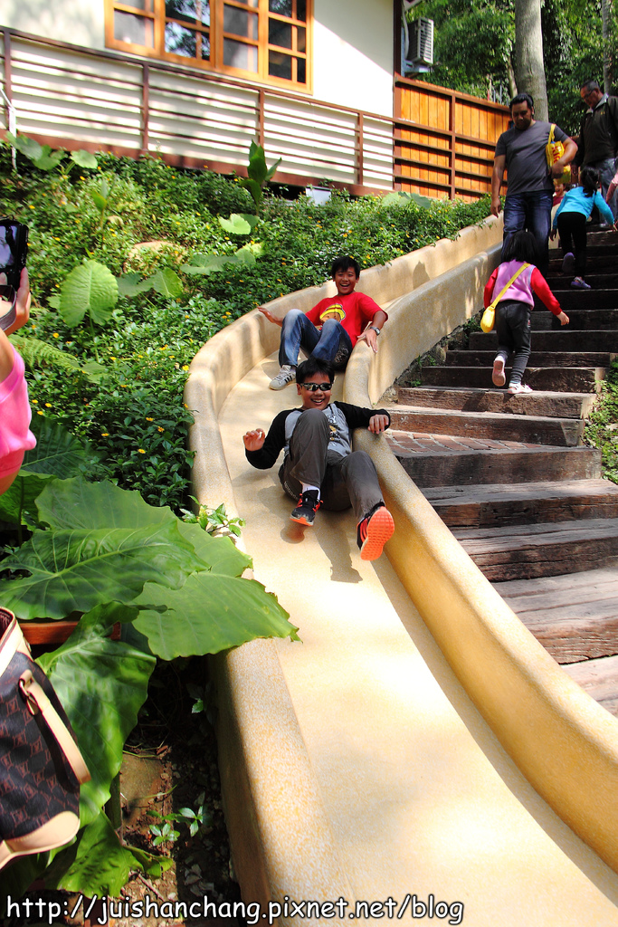 《遊記║新竹新埔》森林鳥花園~戶外親子花園賞鳥趣