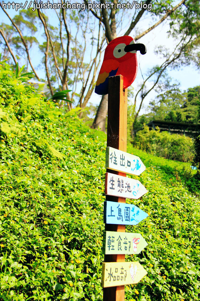 《遊記║新竹新埔》森林鳥花園~戶外親子花園賞鳥趣