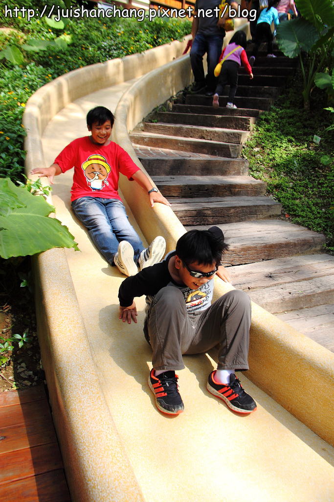 《遊記║新竹新埔》森林鳥花園~戶外親子花園賞鳥趣