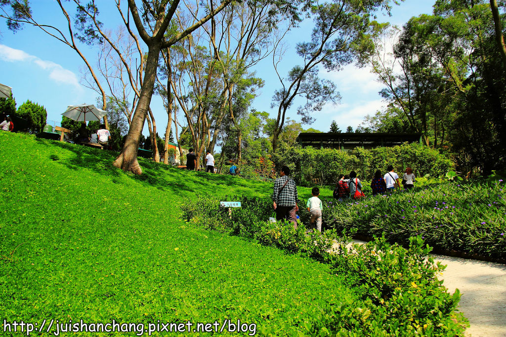 《遊記║新竹新埔》森林鳥花園~戶外親子花園賞鳥趣