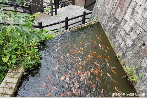 【新竹/峨嵋】歇心茶樓