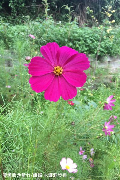 【新竹/峨嵋】水濂洞步道