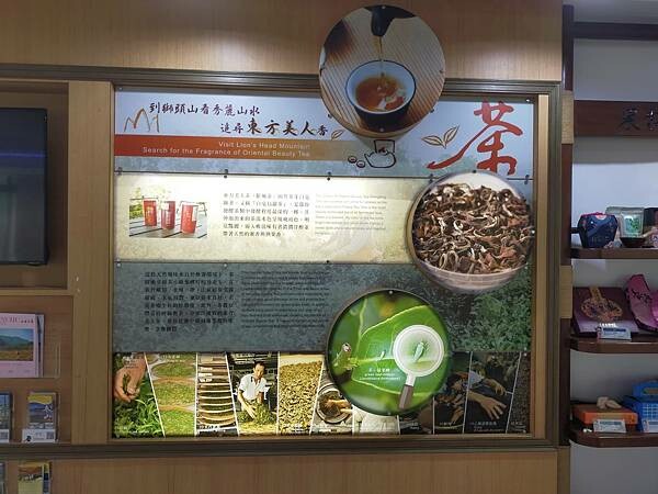 新竹峨眉歇心茶樓~與期間限定版浪漫油桐花相遇~獅山遊客中心~