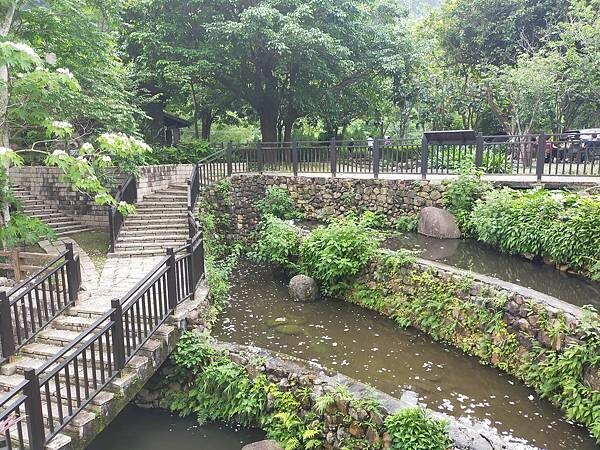 新竹峨眉歇心茶樓~與期間限定版浪漫油桐花相遇~獅山遊客中心~