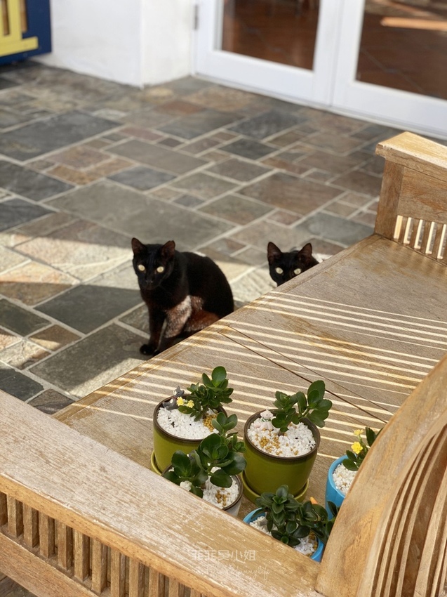 花蓮 地中海希臘風 海印民宿