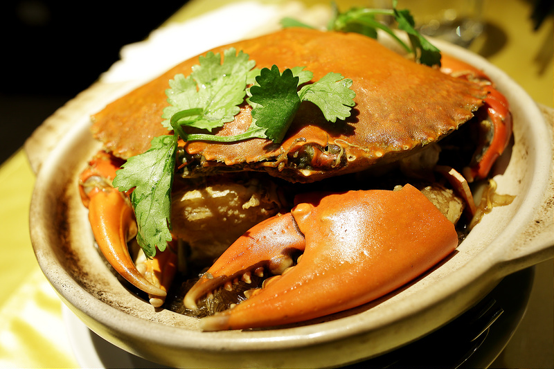 20130211_357 20130211_357