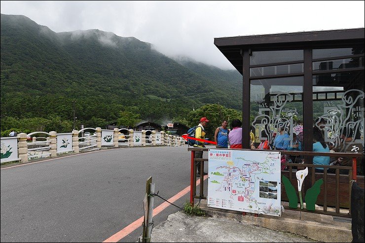搭捷運轉公車就會到的陽明山竹子湖三大繡球花海懶人包~竹子湖水車寮步道+頂湖大賞園+水尾大梯田繡球花田(2016年5月最新版花況)！