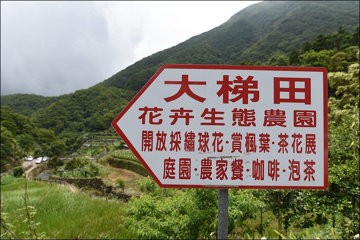 搭捷運轉公車就會到的陽明山竹子湖三大繡球花海懶人包~竹子湖水車寮步道+頂湖大賞園+水尾大梯田繡球花田(2016年5月最新版花況)！