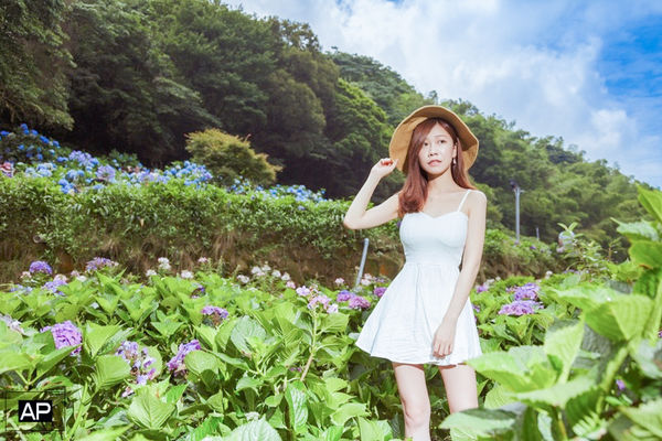 full house-婚禮紀錄藝術寫真自助婚紗 (7) 2017夢幻花季必拍景點 → 竹子湖高家繡球花田超美超好拍 ❤ 陽明山水車寮.jpg