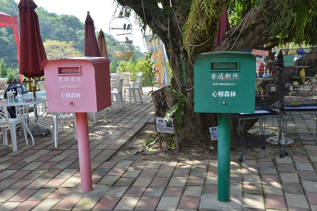 心鮮森林12