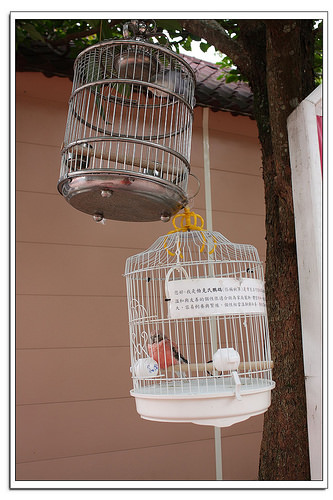 《幸福行》芎林‧心鮮森林莊園~沙坑/兒童戲水池/步道/DIY