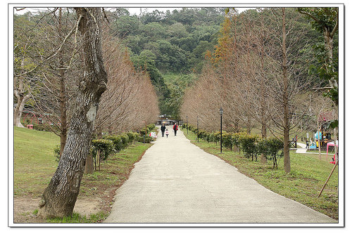 《幸福行》芎林‧心鮮森林莊園~沙坑/兒童戲水池/步道/DIY