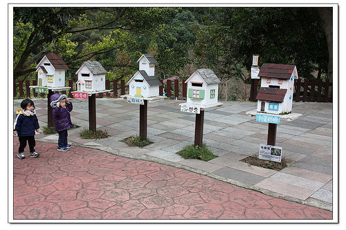 《幸福行》芎林‧心鮮森林莊園~沙坑/兒童戲水池/步道/DIY