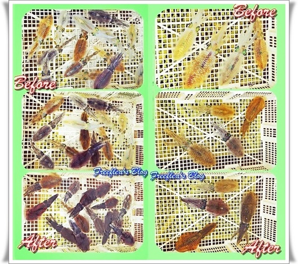 三明美食：✜ 意想不到滴新北市萬里龜吼漁港驚喜初體驗 -「三明美食」>O<…