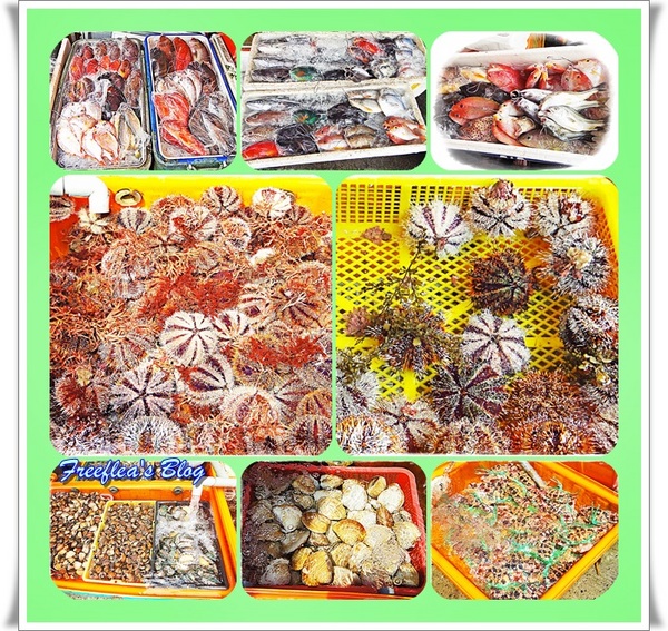 三明美食：✜ 意想不到滴新北市萬里龜吼漁港驚喜初體驗 -「三明美食」>O<…