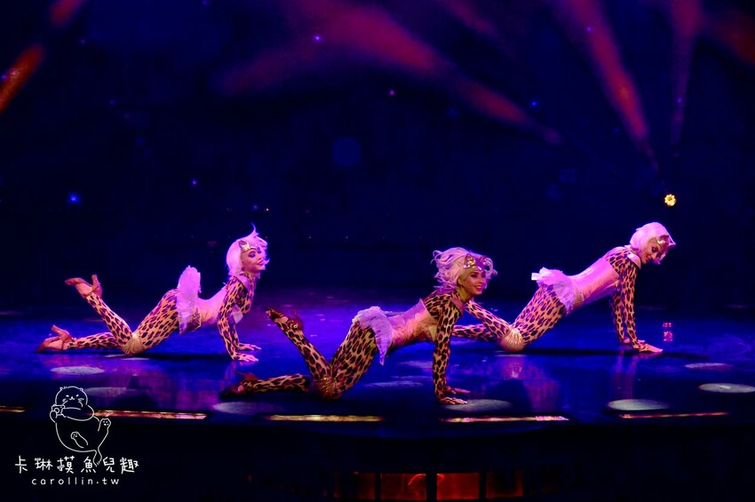 基隆市中山區麗星郵輪探索星號開箱！娛樂設施.露臺房.皇宮套房.自費餐廳 - 卡琳。摸魚兒趣